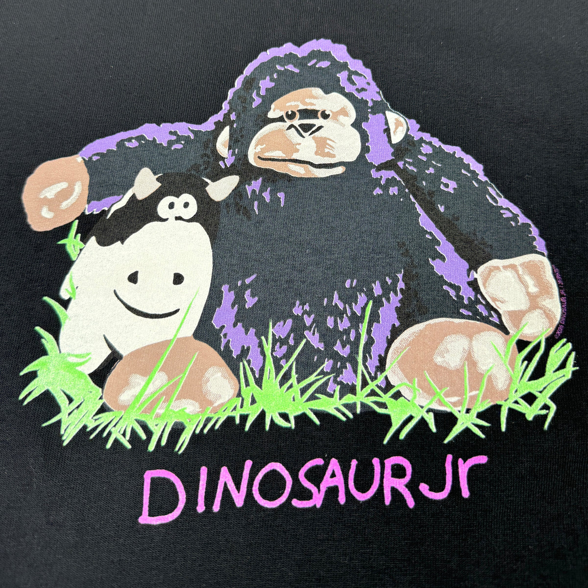 DINOSAUR JR. THE WAGON BLACK T-SHIRT – JERKS™