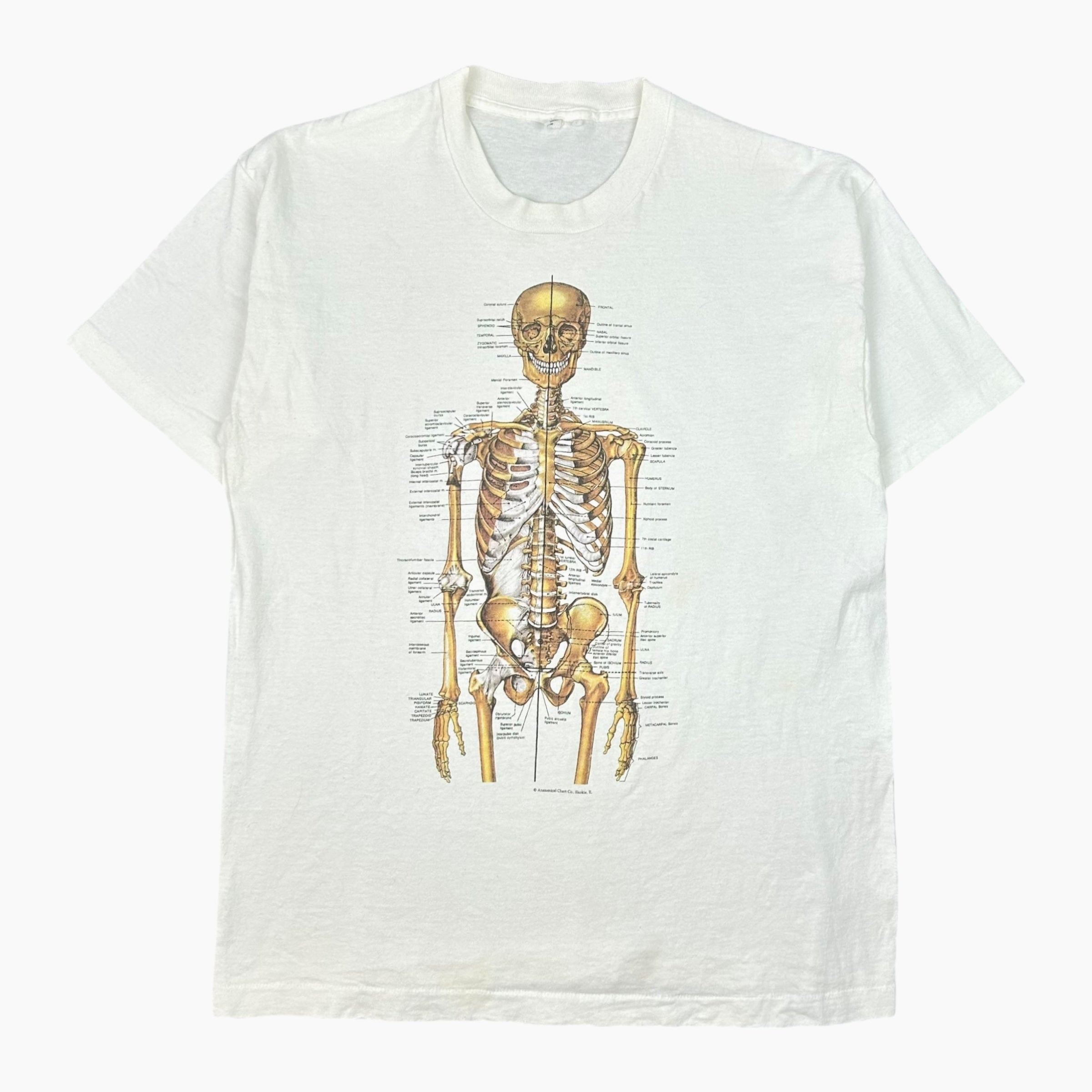 EARLY 90S SKELETON T-SHIRT – JERKS™