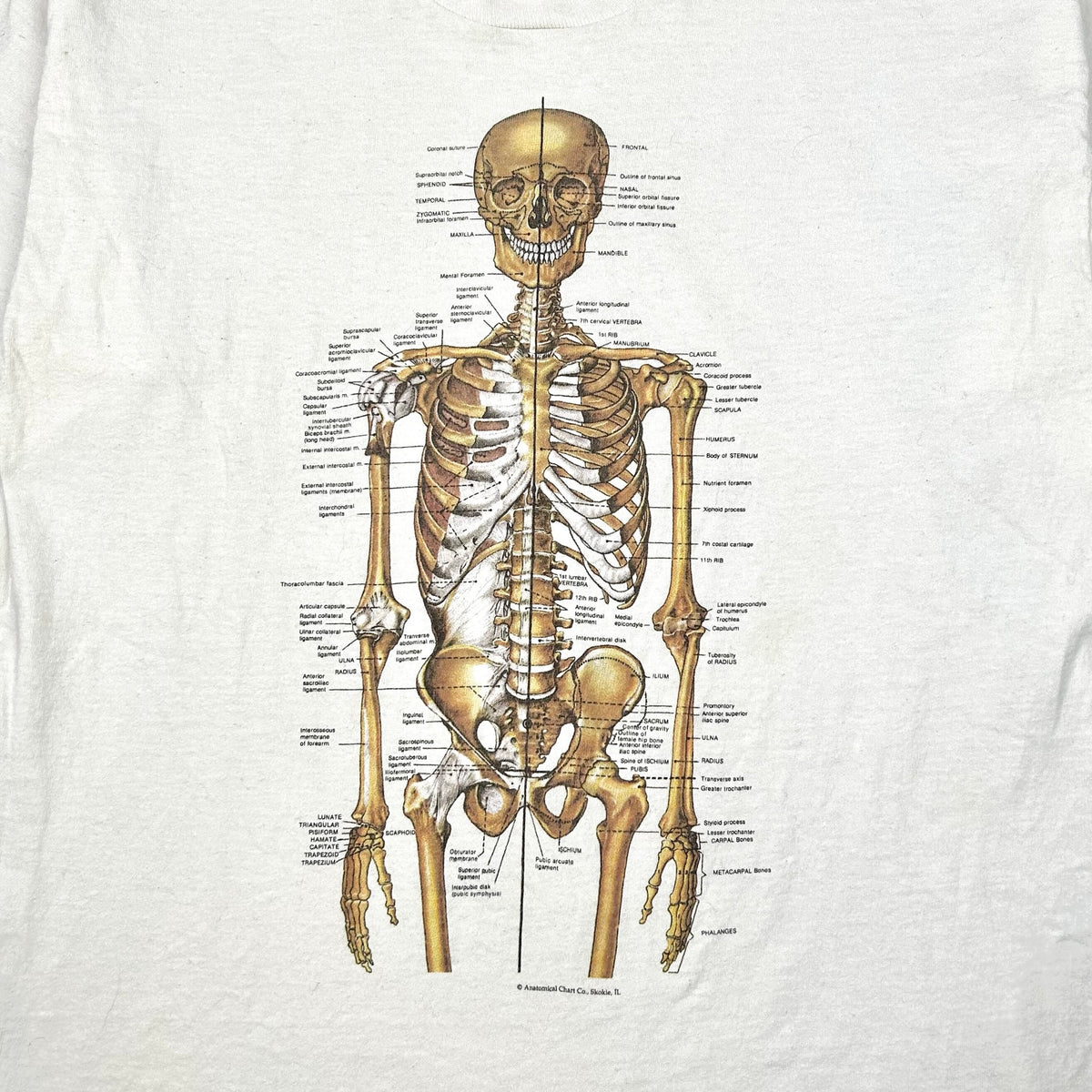 EARLY 90S SKELETON T-SHIRT – JERKS™