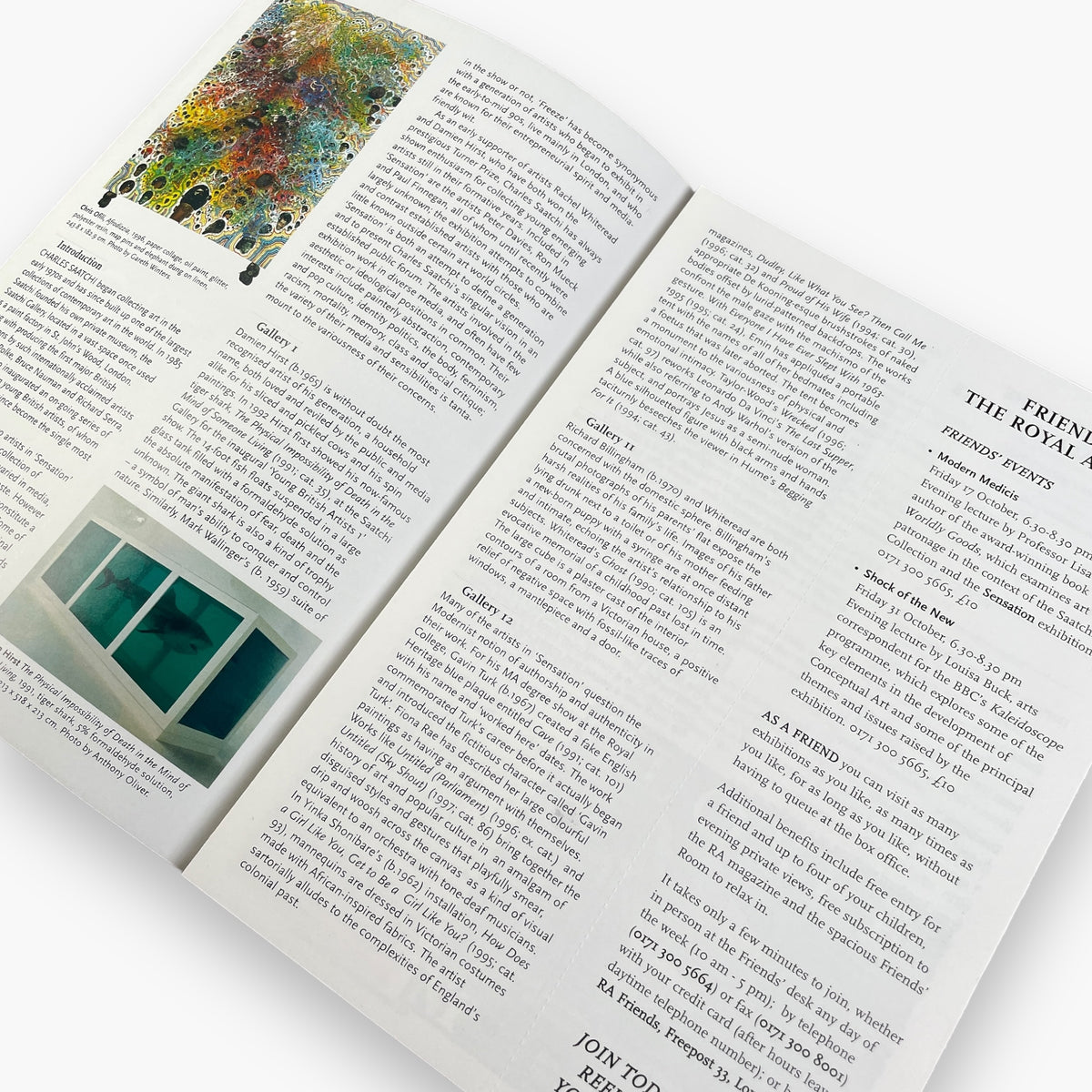 1997-sensation-exhibition-catalogue-jerks