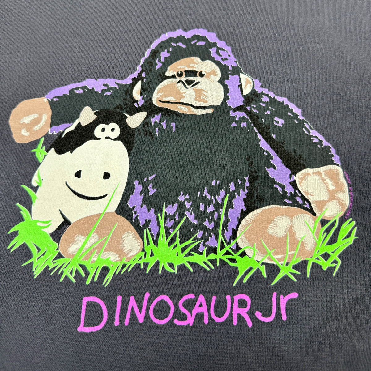 DINOSAUR JR. THE WAGON SLATE GREY T-SHIRT – JERKS™