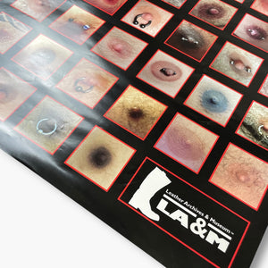 EARLY 00S NIPPLE POSTER