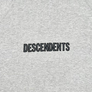 LATE 90S DESCENDENTS HOODIE