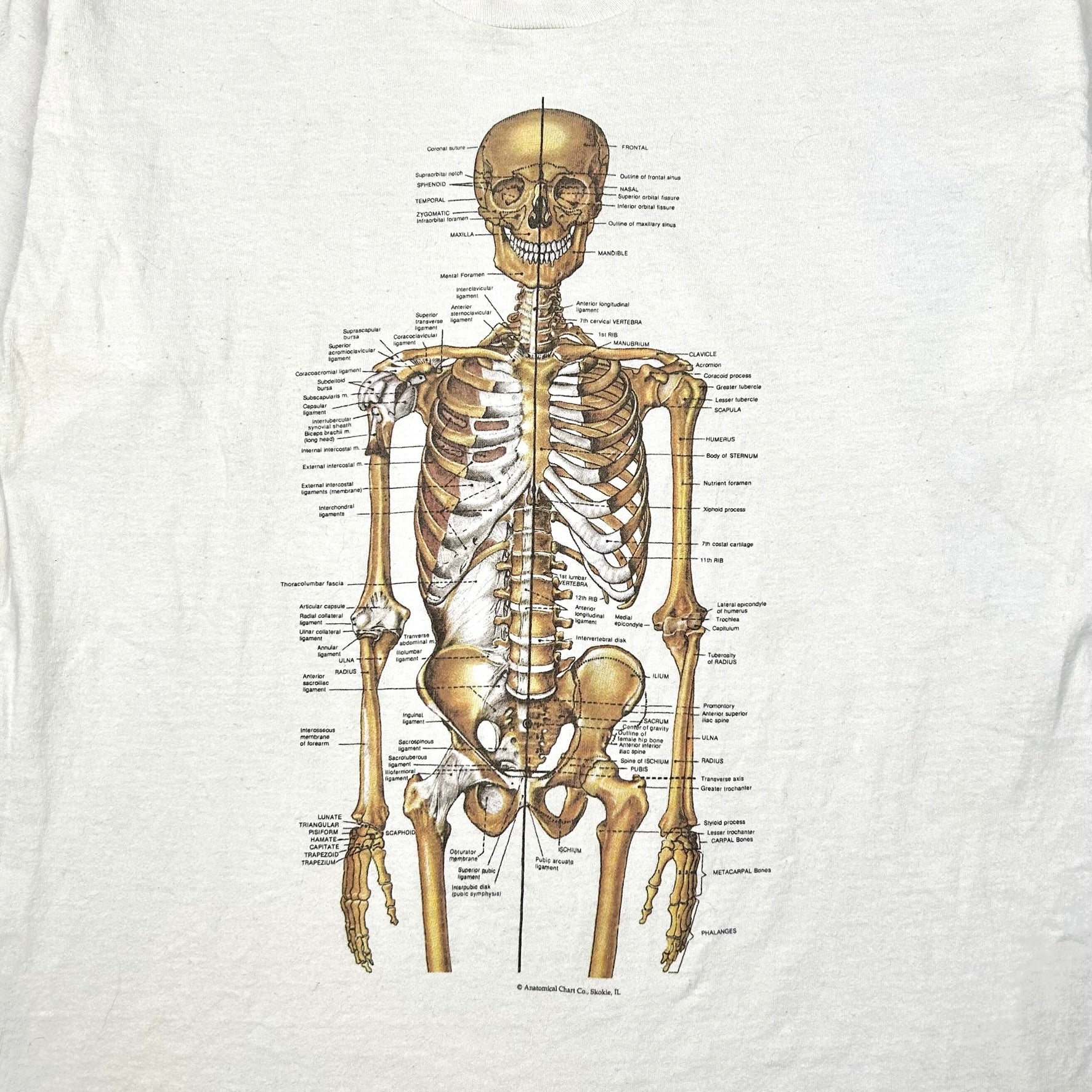 EARLY 90S SKELETON T-SHIRT – JERKS™