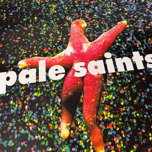PALE SAINTS IN RIBBONS POSTER – JERKS™