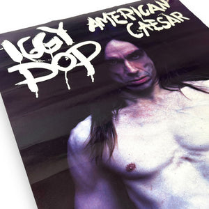 1993 IGGY POP POSTER