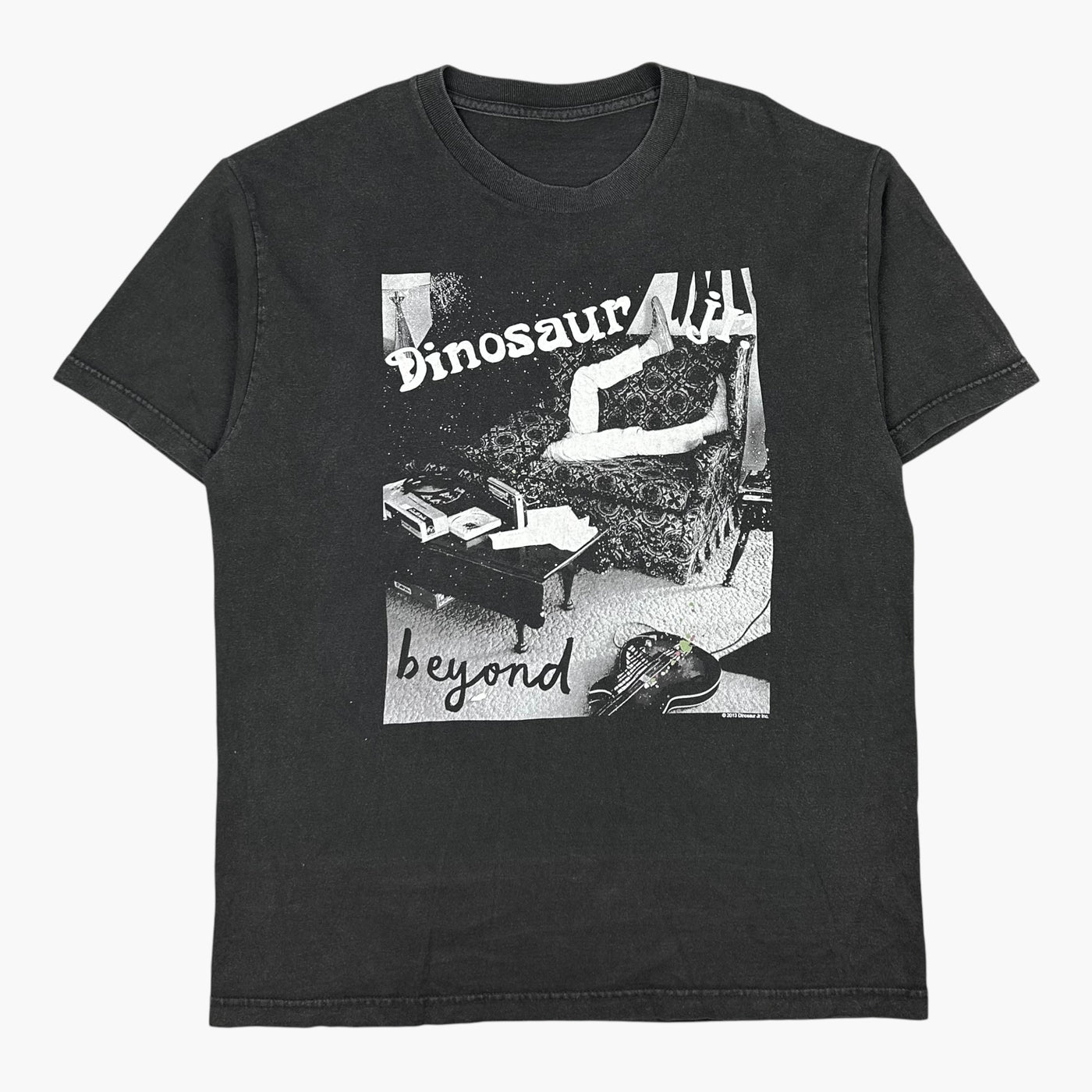 2013 DINOSAUR JR T-SHIRT