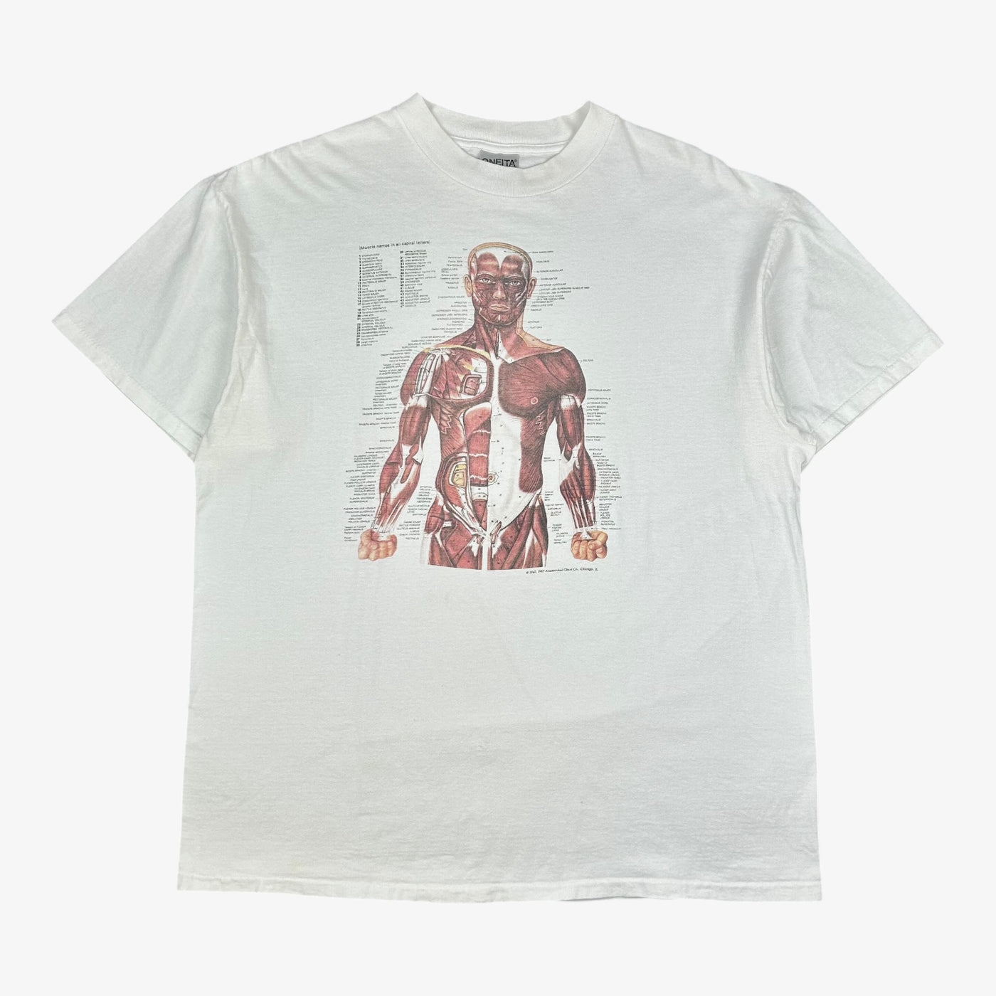 EARLY 90S MUSCULAR ANATOMY T-SHIRT – JERKS™