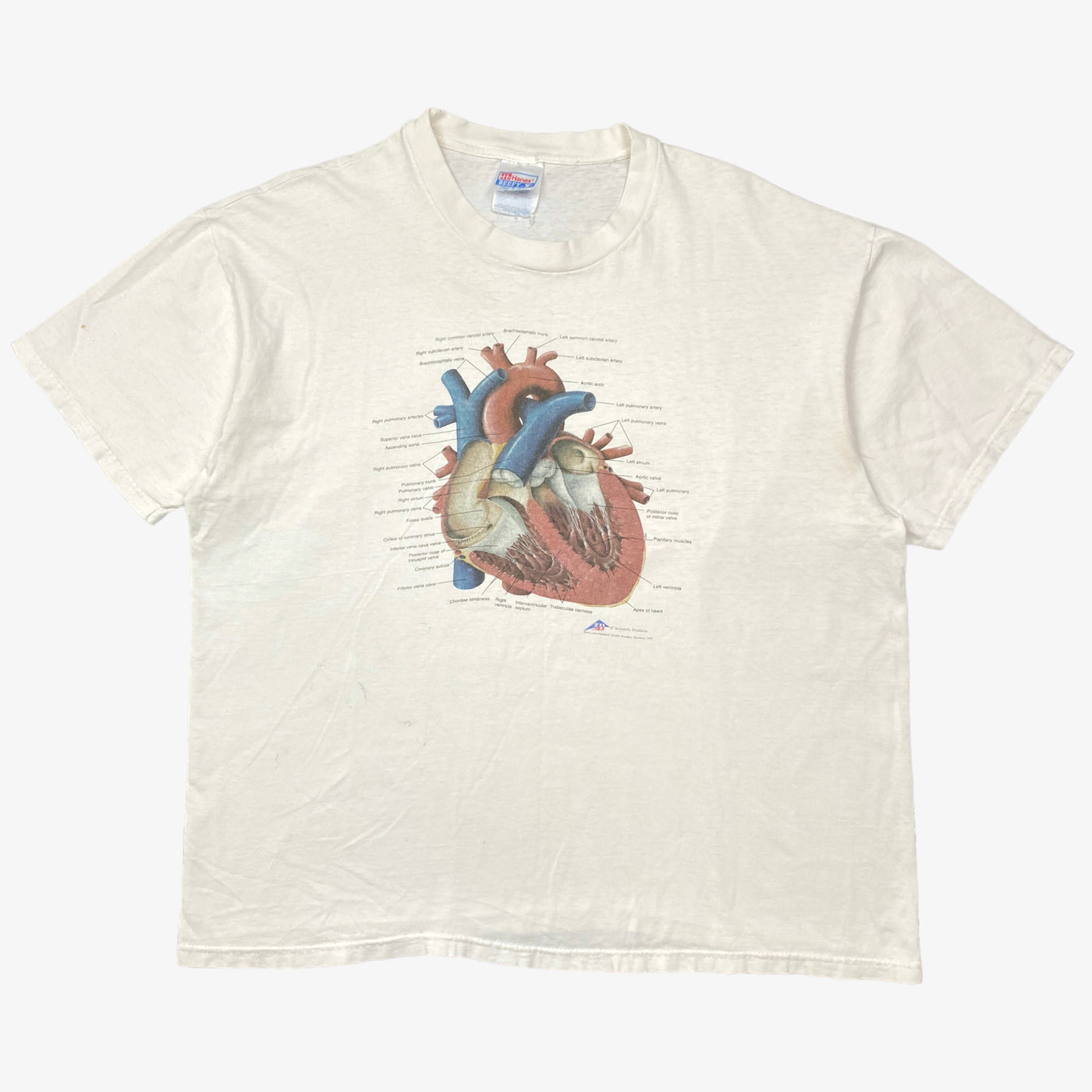 1997 HEART ANATOMY T-SHIRT